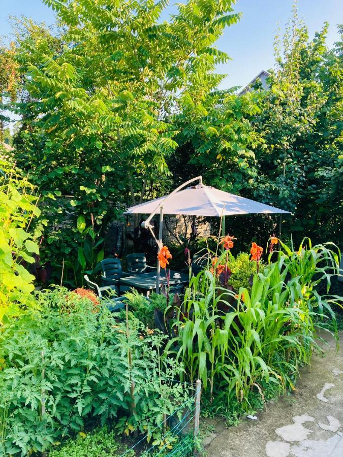 Guest House Barbi บาทูมิ ภายนอก รูปภาพ