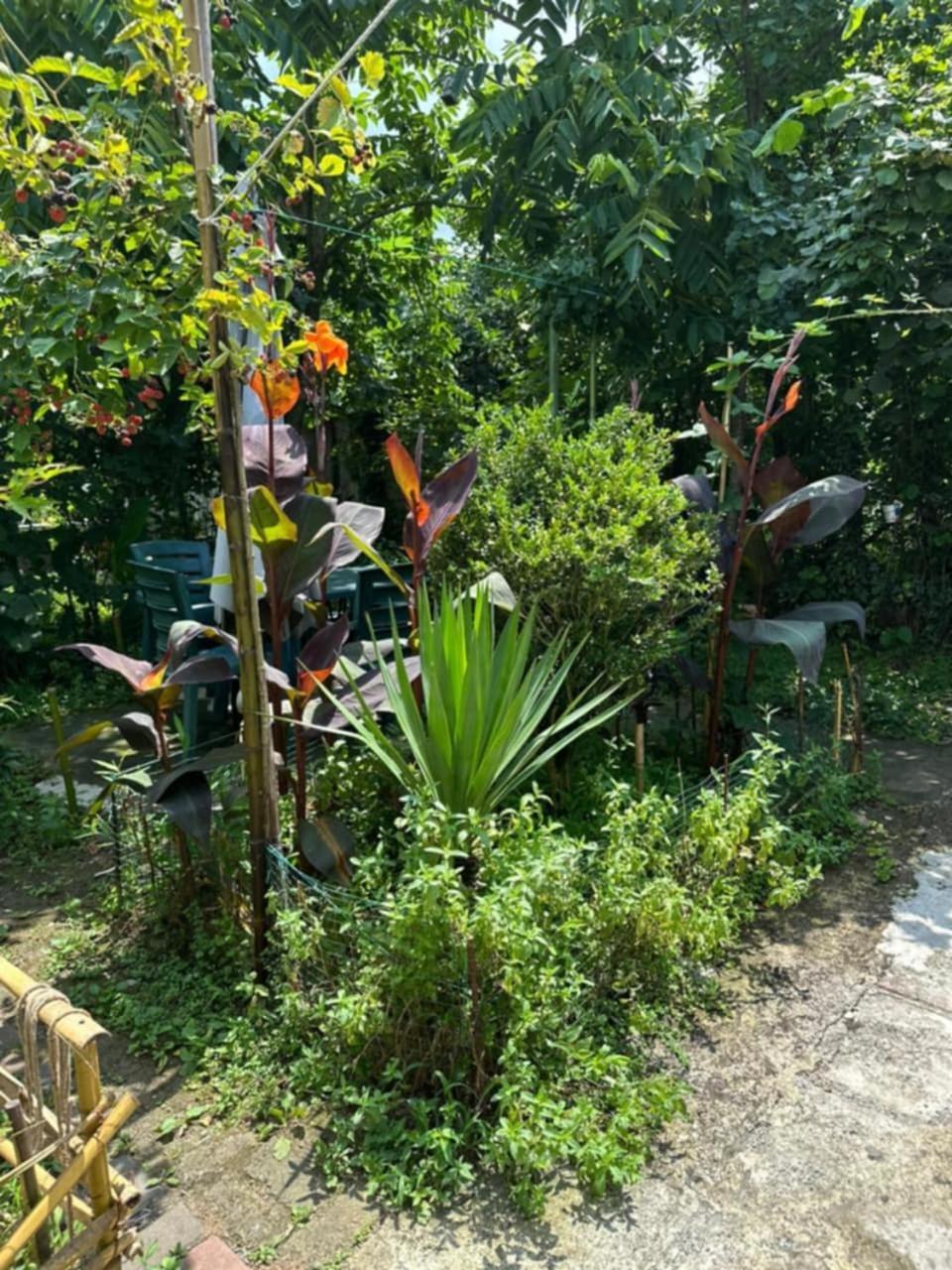 Guest House Barbi บาทูมิ ภายนอก รูปภาพ