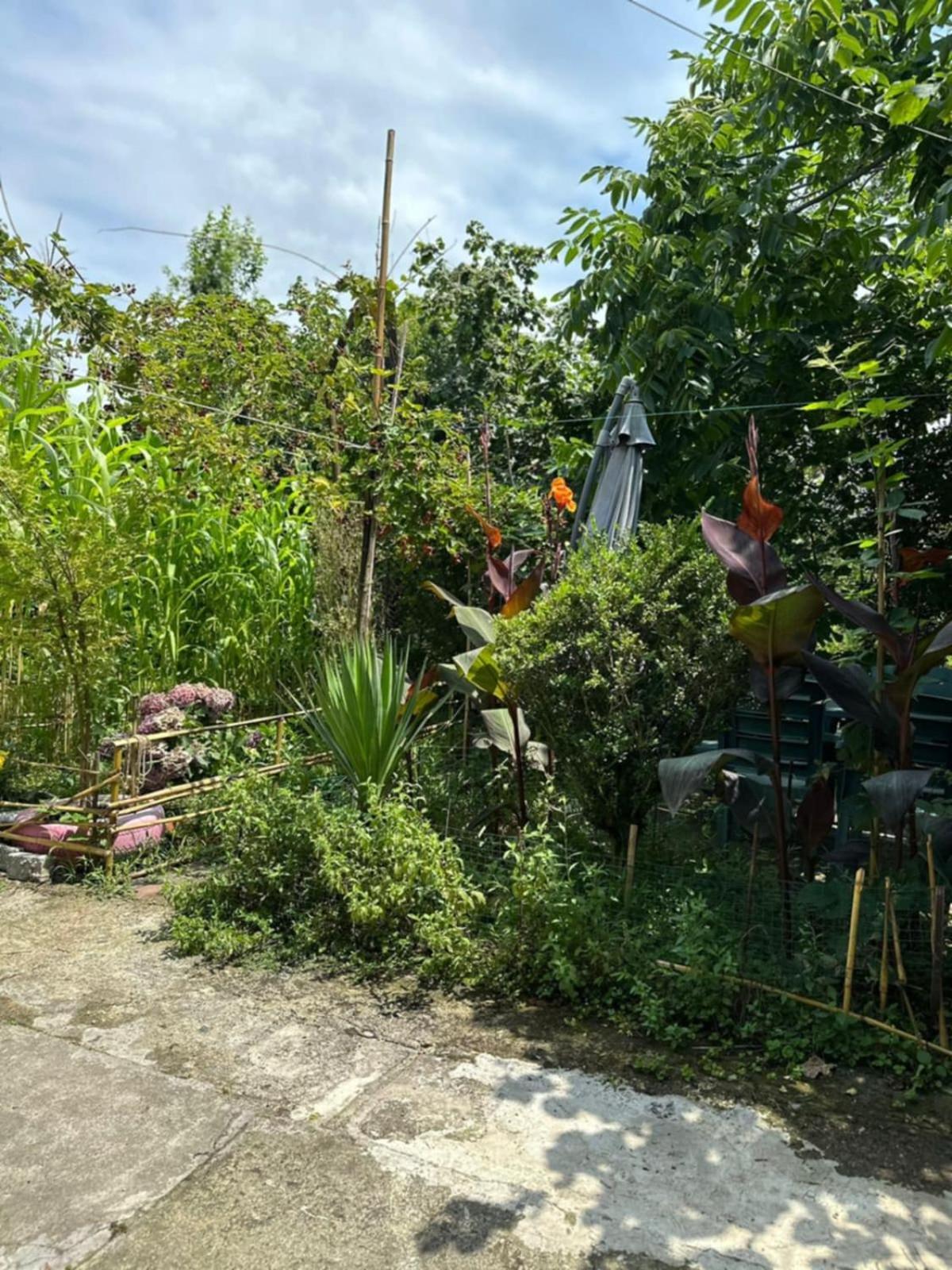 Guest House Barbi บาทูมิ ภายนอก รูปภาพ
