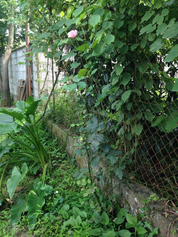 Guest House Barbi บาทูมิ ภายนอก รูปภาพ